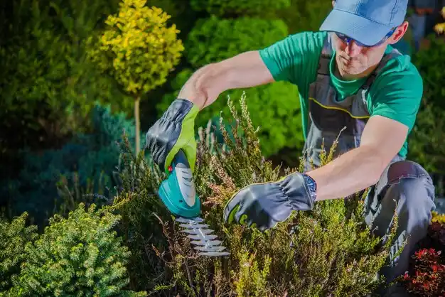 landscaping services Harbor Hills